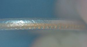 2000-P-Washington-Quarter-Off-Center-Or-Broad-Struck-Or-Both?